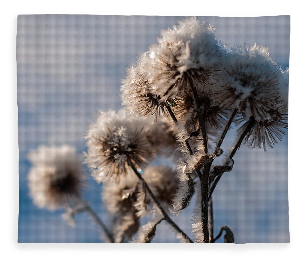Winter Fleece Blanket featuring the photograph Winter Chills by Miguel Winterpacht