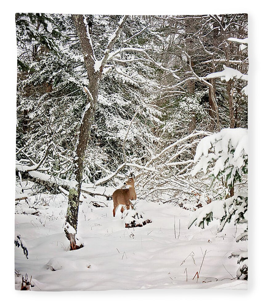 Winter Deer In The Forest Print Fleece Blanket featuring the photograph Winter Deer in the Forest by Gwen Gibson