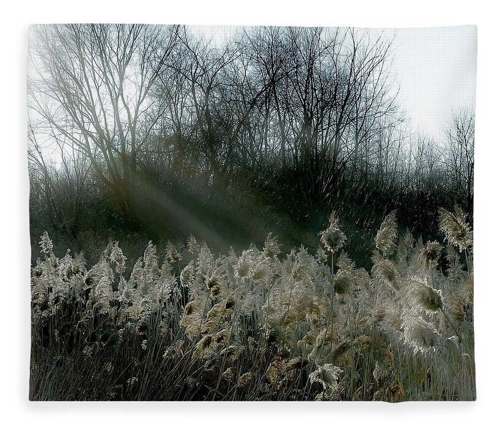  Fleece Blanket featuring the photograph Winter Fringe by Kendall McKernon