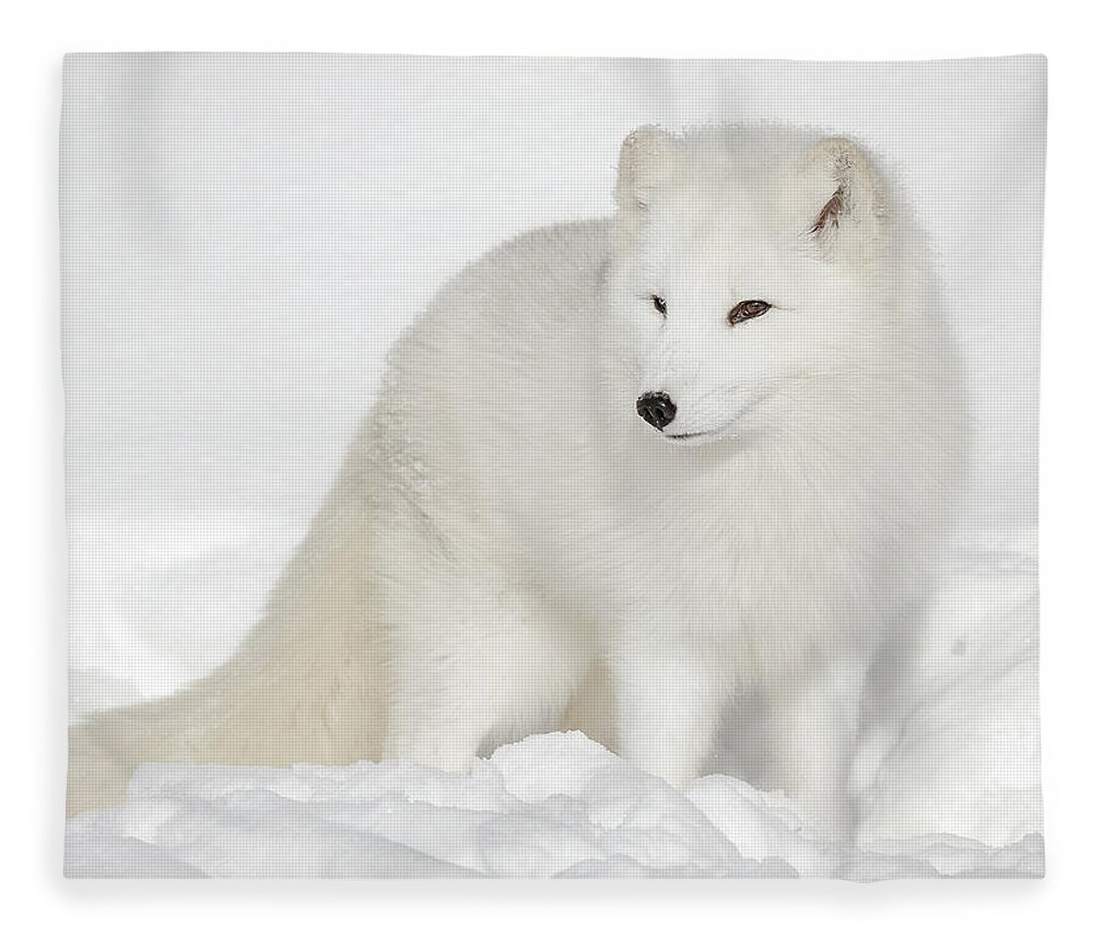 Arctic White Wolf by Athena Mckinzie
