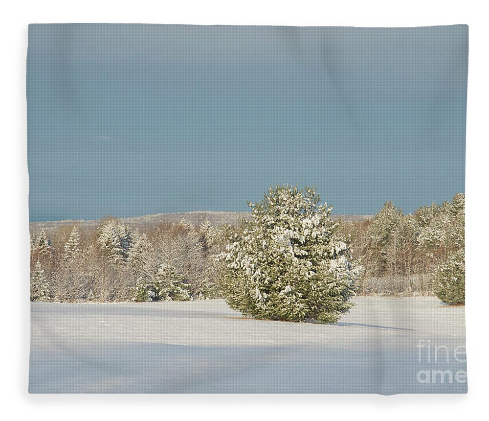 Snow Covered Fleece Blanket featuring the photograph Winter Landscape by Alana Ranney