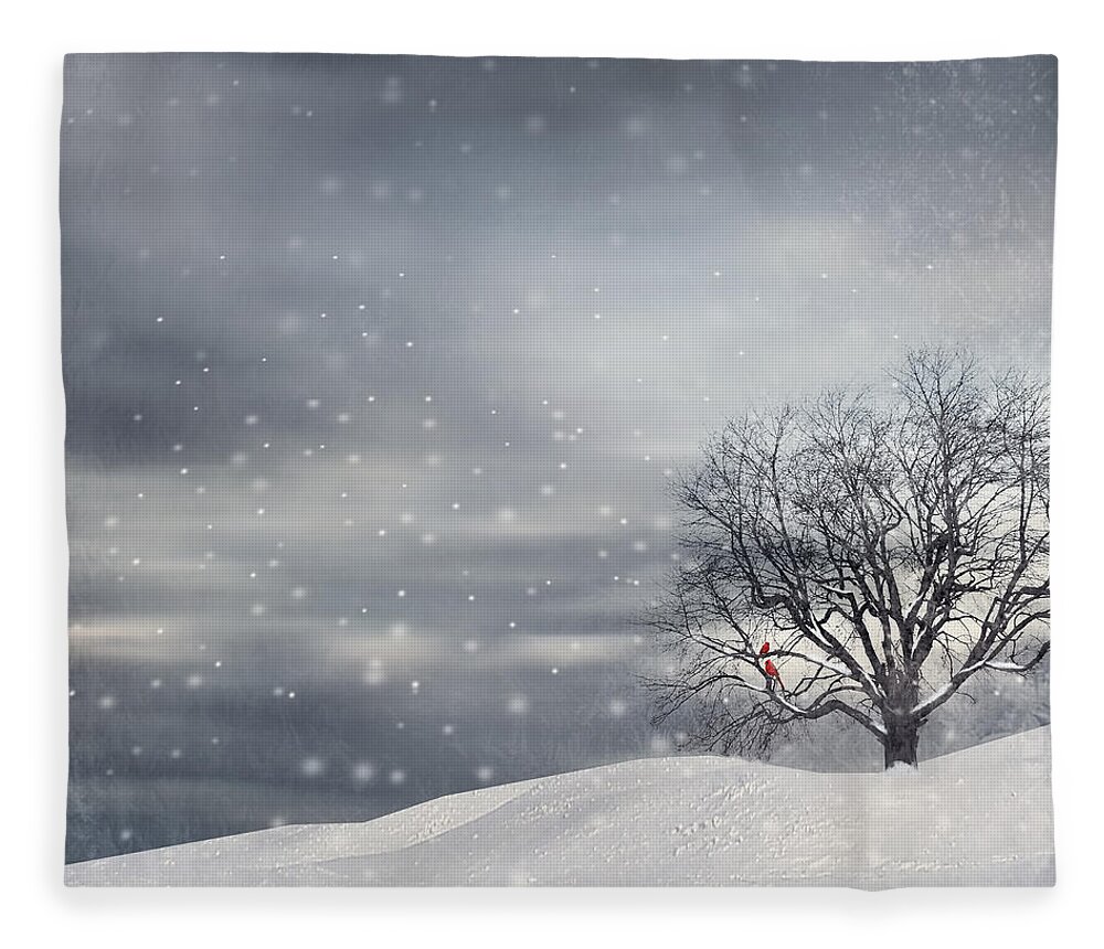 Four Seasons Fleece Blanket featuring the photograph Winter by Lourry Legarde