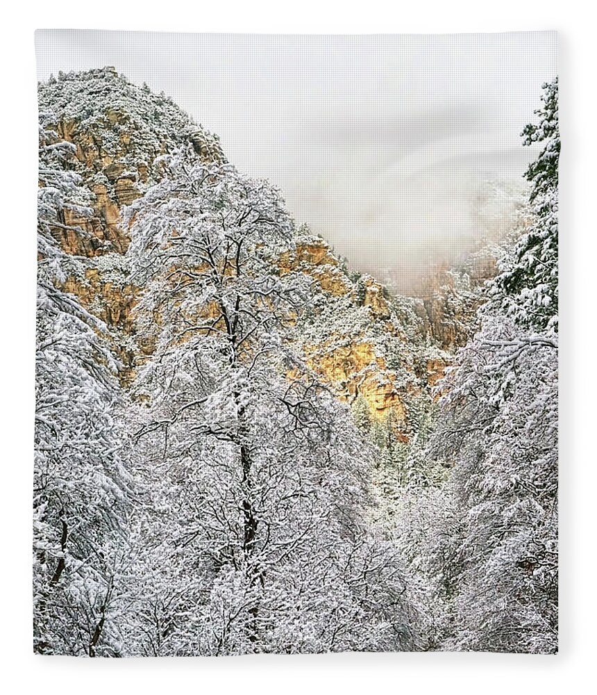 Oak Creek Canyon Fleece Blanket featuring the photograph Winter Magic by Theo O'Connor