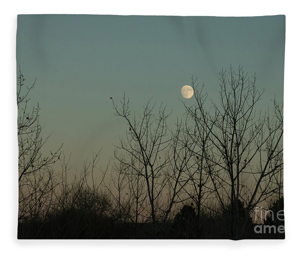Winter Fleece Blanket featuring the photograph Winter Moon by Ana V Ramirez