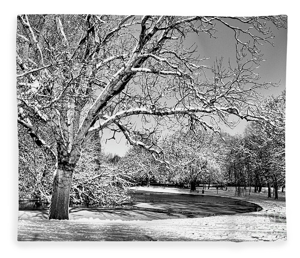 Landscape Fleece Blanket featuring the photograph Winter Pond in Mono by Stephen Melia