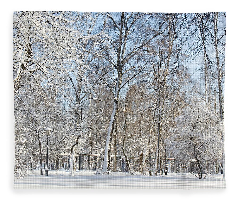 Winter Fleece Blanket featuring the photograph Winter sunny day in park by Irina Afonskaya