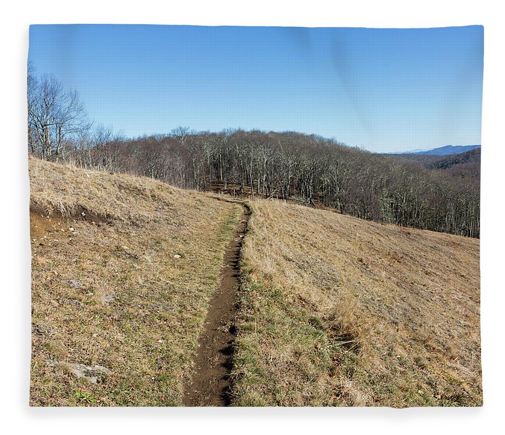 Empty Fleece Blanket featuring the photograph Winter Trail - December 7, 2016 by D K Wall