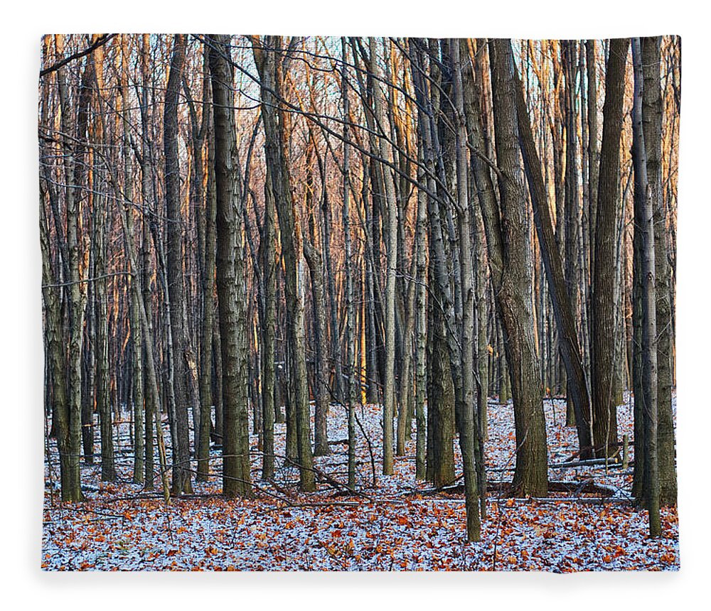 Tree Fleece Blanket featuring the photograph Winter - UW Arboretum Madison Wisconsin by Steven Ralser