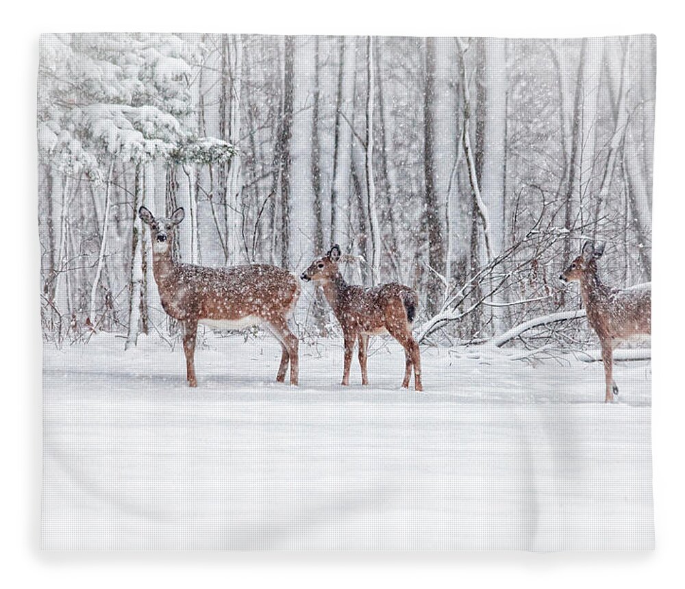 Deer Fleece Blanket featuring the photograph Winter Visits by Karol Livote
