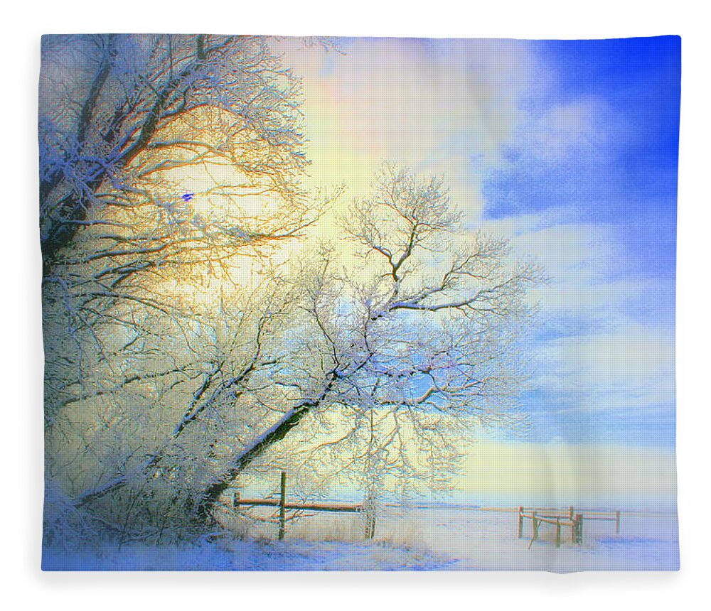 Snowy Sunday Fleece Blanket featuring the photograph Winters Pretty Presents by Julie Lueders 