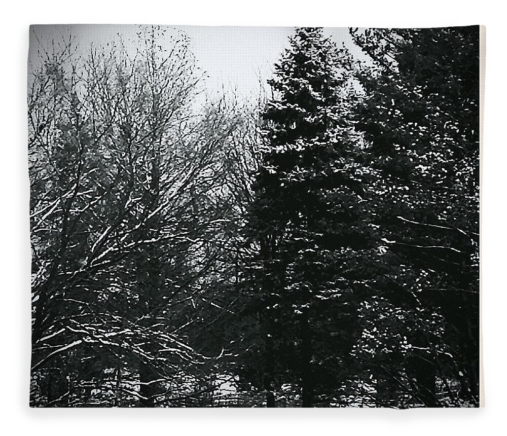 Landscape Fleece Blanket featuring the photograph Wintery Woods by Frank J Casella