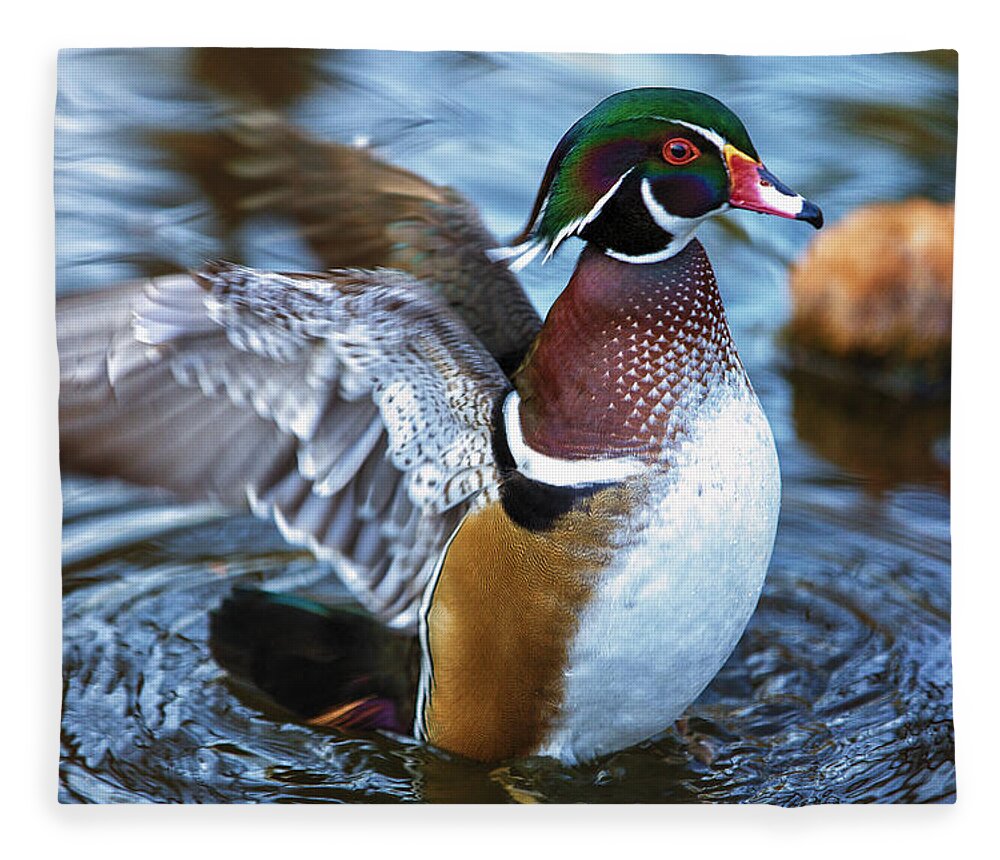 Wildlife Fleece Blanket featuring the photograph Wood Duck Flap by Bill and Linda Tiepelman