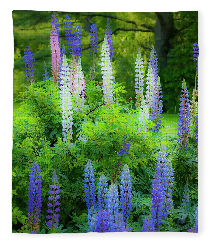 Lupines Fleece Blanket featuring the photograph Woodland Fantasy by Jeff Cooper