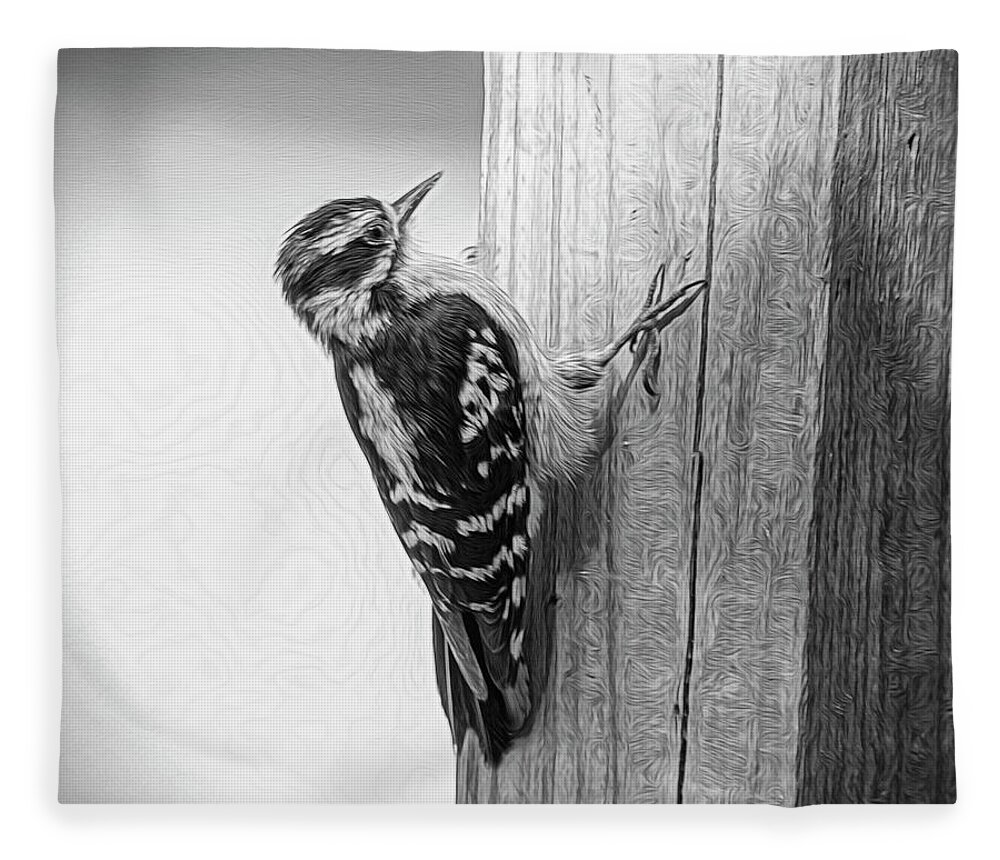 Nature Fleece Blanket featuring the photograph Woody in Black n White by Cathy Kovarik