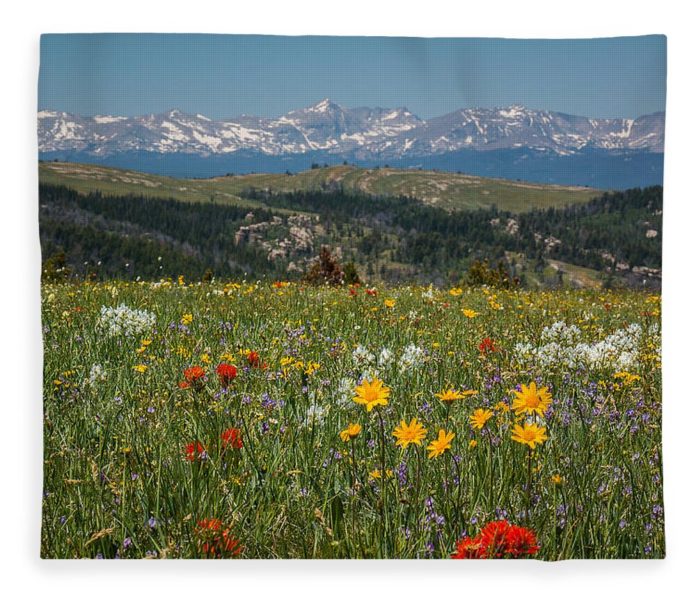 Trailsxposed Fleece Blanket featuring the photograph Wyoming's Winds by Gina Gardner