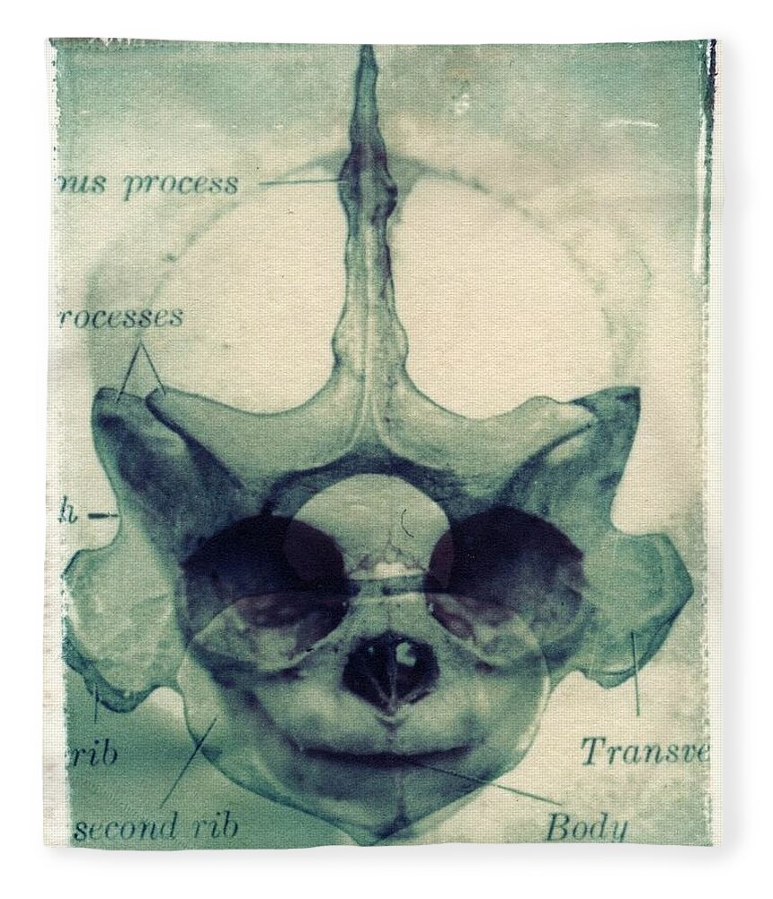 Polaroid Transfer Fleece Blanket featuring the photograph X Ray Terrestrial No. 13 by Jane Linders