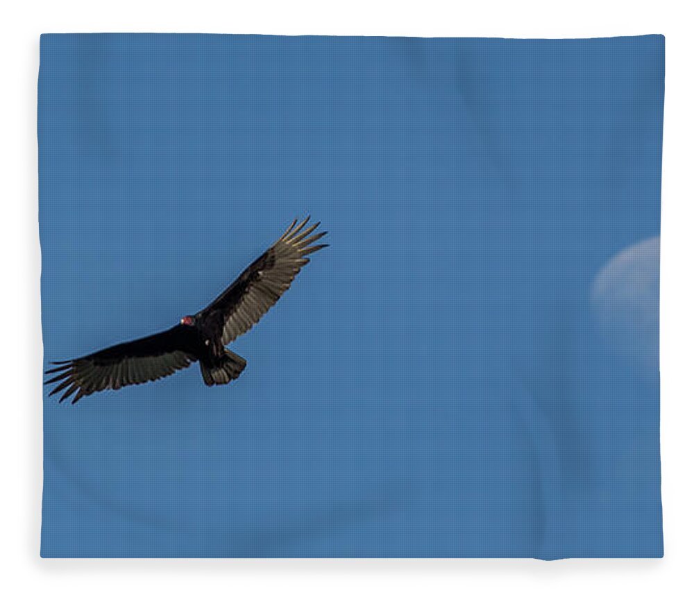 Vulture Fleece Blanket featuring the photograph Yampa Valley Flight by Kevin Dietrich