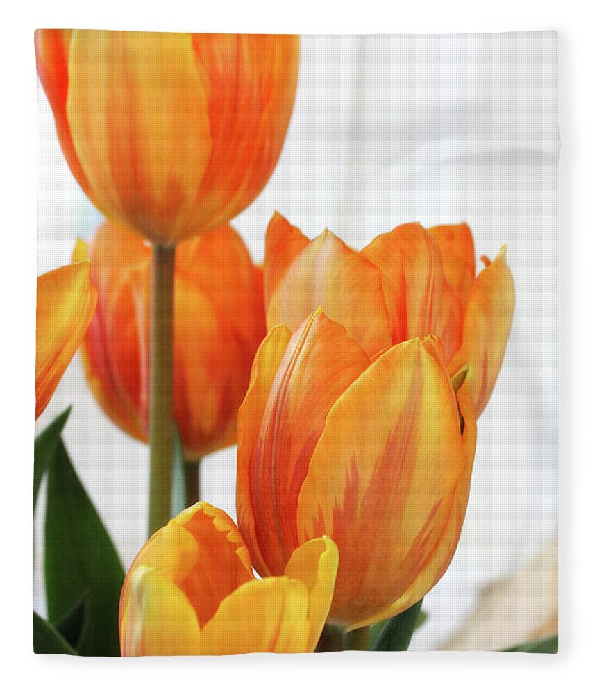 Flowers Fleece Blanket featuring the photograph Yellow and Orange Striped Tulips by Trina Ansel
