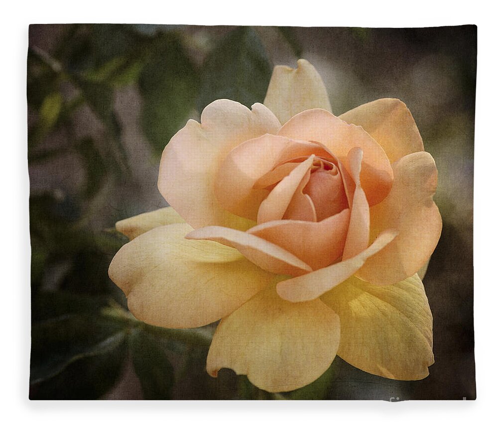 Peach Rose Fleece Blanket featuring the photograph Yellow and Peach Rose by Tamara Becker