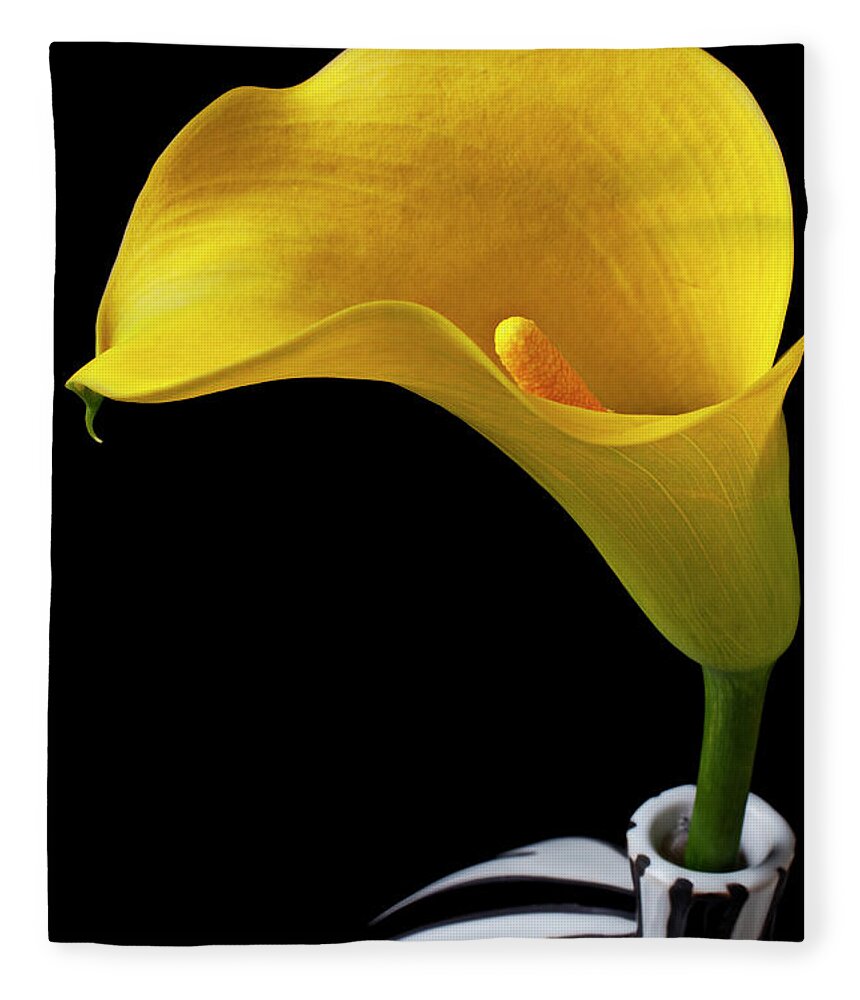 Yellow Calla Lily Black White Vase Fleece Blanket featuring the photograph Yellow calla lily in black and white vase by Garry Gay