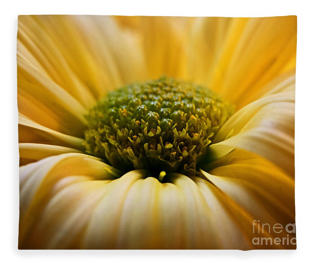 Wall Art Fleece Blanket featuring the photograph Yellow Daisy by Kelly Holm