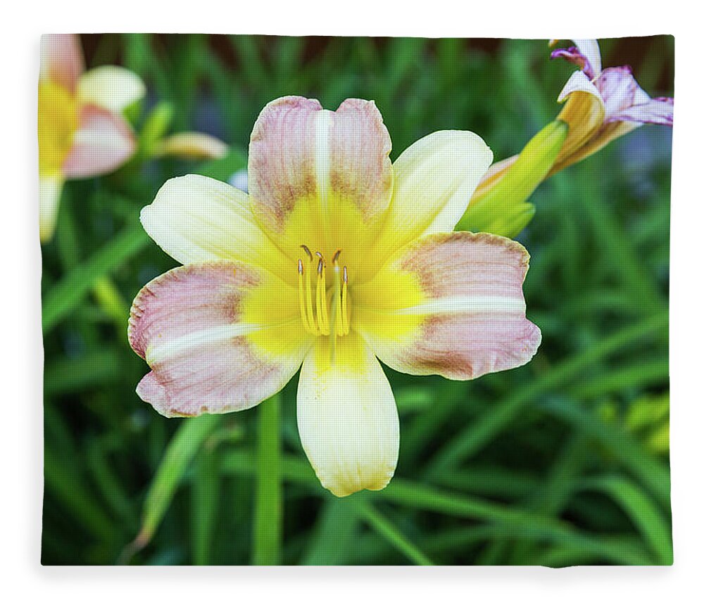 Daylily Fleece Blanket featuring the photograph Yellow Daylily by D K Wall