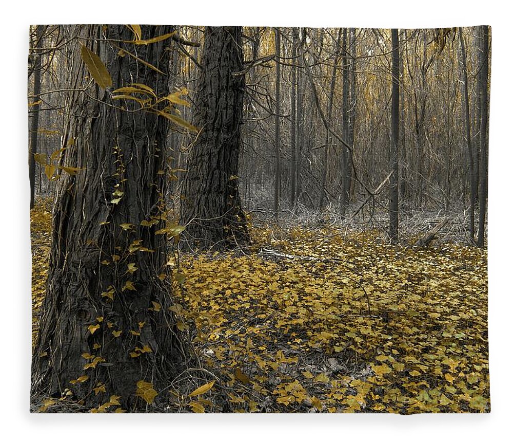Autumn Fleece Blanket featuring the photograph Yellow Forest by Carlos Caetano