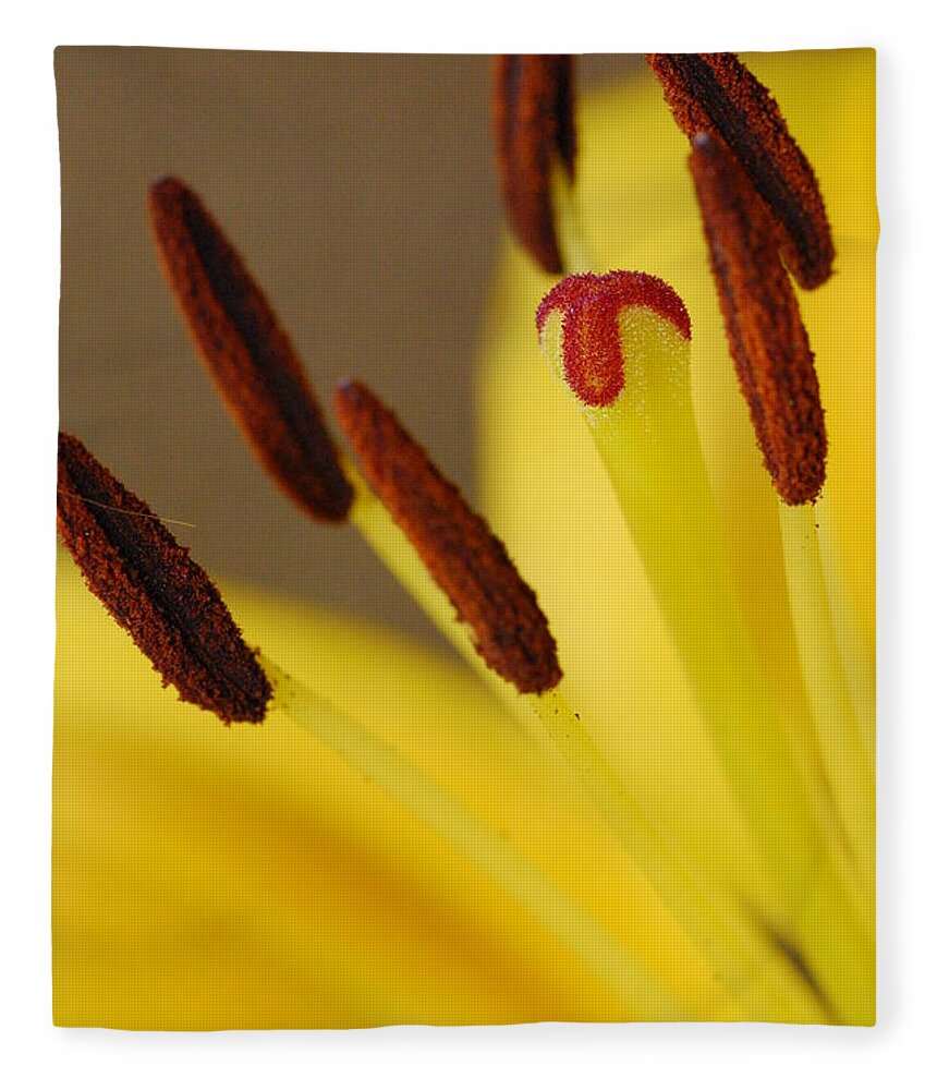 Flower Fleece Blanket featuring the photograph Yellow Lily Reach 2 by Amy Fose