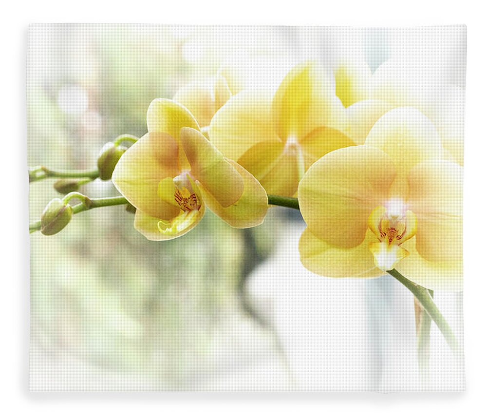 Orchid Fleece Blanket featuring the photograph Yellow Moth Orchids in the Sun by Carol Senske
