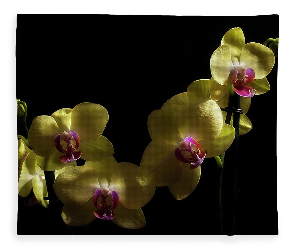 Orchid Fleece Blanket featuring the photograph Yellow Orchid by Mike Eingle