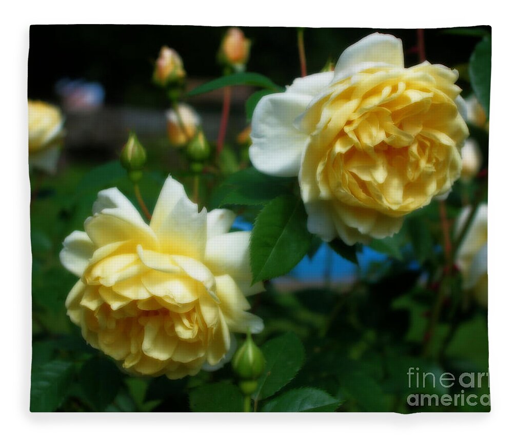 Rose Fleece Blanket featuring the photograph Yellow Roses by Smilin Eyes Treasures