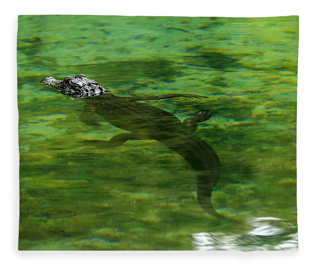 Alligator Fleece Blanket featuring the photograph Young Alligator by Travis Rogers