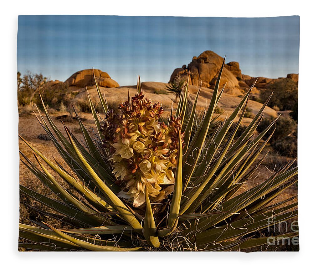 Joshua Tree National Park Fleece Blanket featuring the photograph Yucca Bloom by Patti Schulze