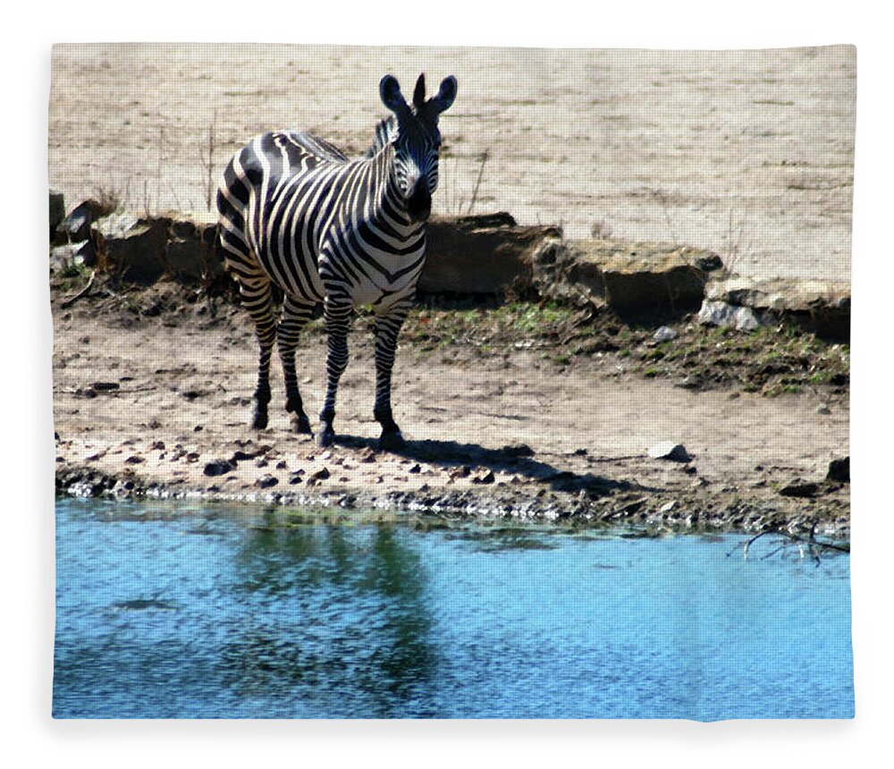 Zebra Fleece Blanket featuring the mixed media Zebra at the watering hole by Steve Karol