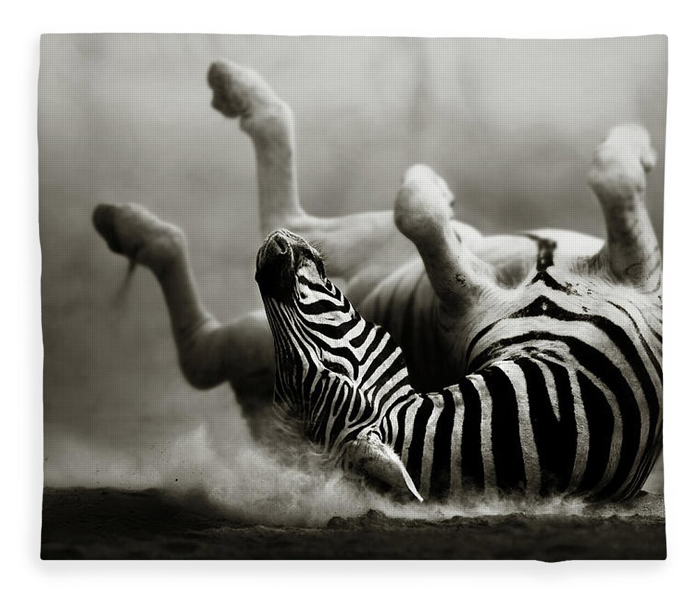 Zebra Fleece Blanket featuring the photograph Zebra rolling by Johan Swanepoel
