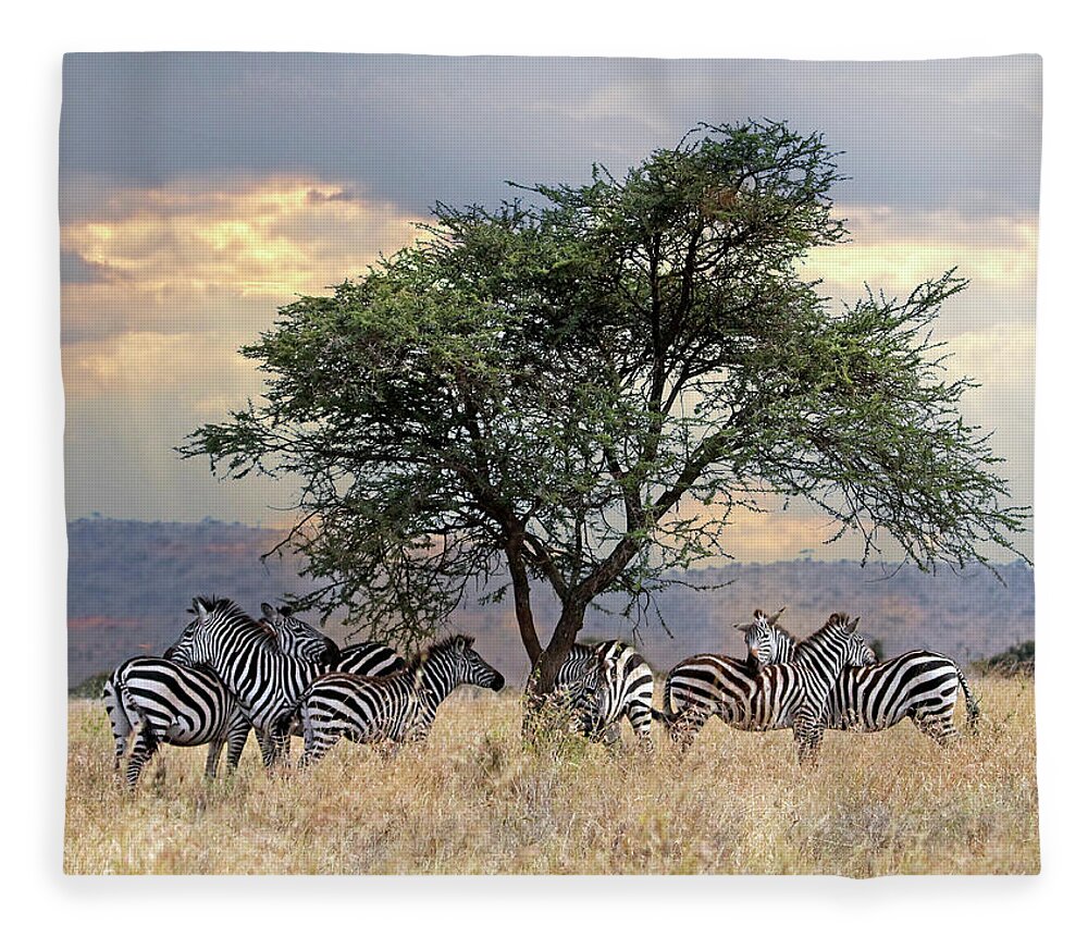 African Landscape Fleece Blanket featuring the photograph Zebra Under Tree in Africa by Gill Billington