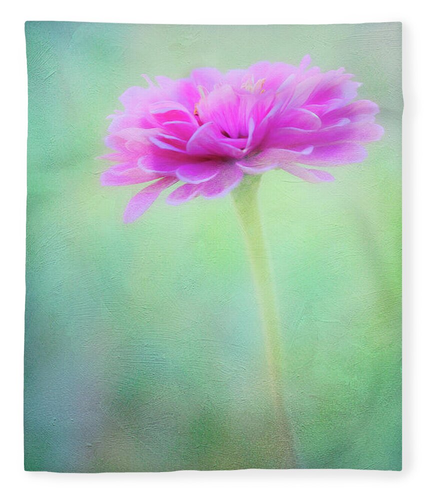 Zinnia Fleece Blanket featuring the photograph Painted Pink Zinnia by Anita Pollak