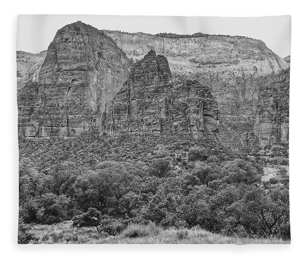 Photography Fleece Blanket featuring the photograph Zion Canyon Monochrome by Dan Miller