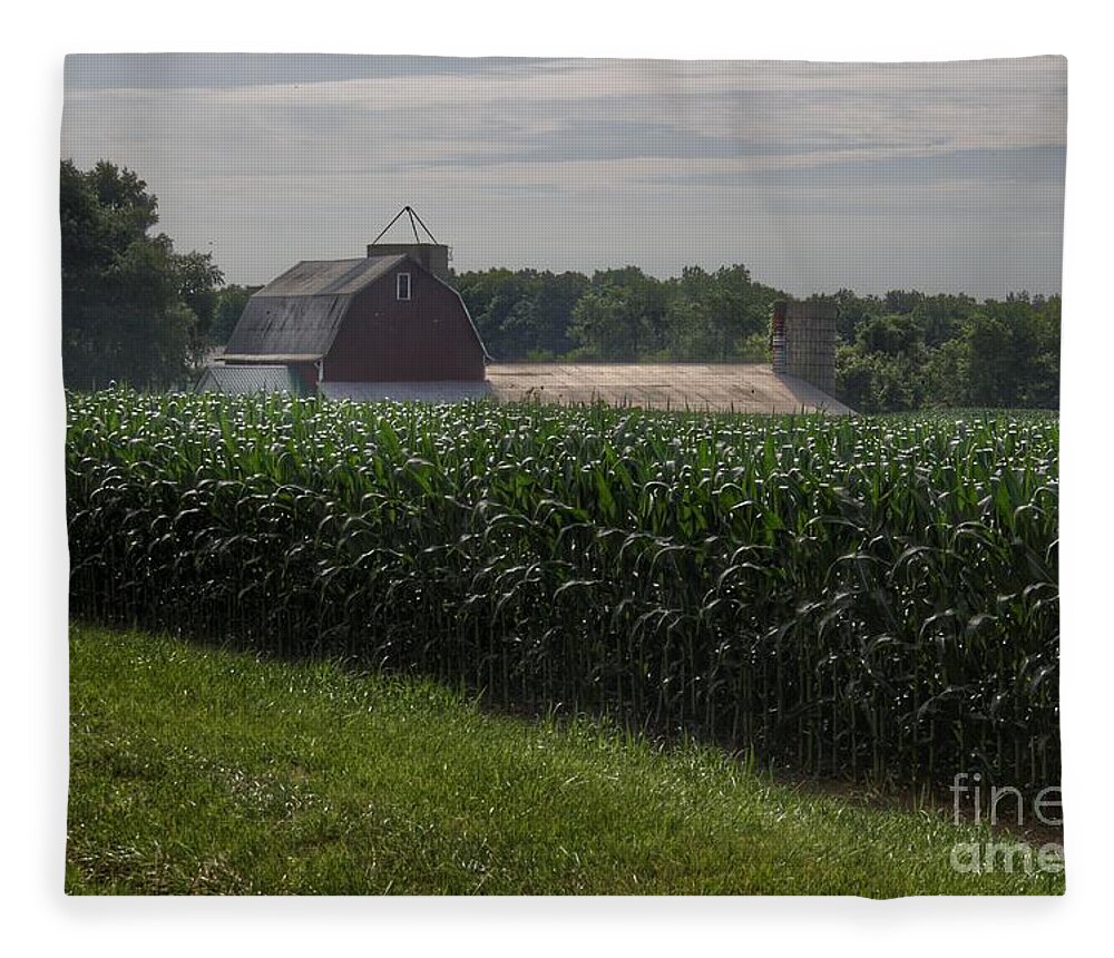 Barn Fleece Blanket featuring the photograph 0364 - Pierson Road Red Above the Corn by Sheryl L Sutter