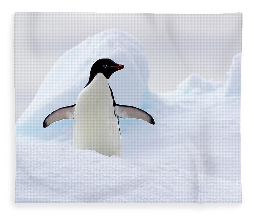 Extreme Terrain Fleece Blanket featuring the photograph Adelie Penguin On Ice Floe In The #1 by Cultura Rf/brett Phibbs