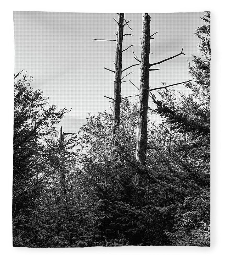 Smokies Fleece Blanket featuring the photograph Black And White Forest #1 by Phil Perkins