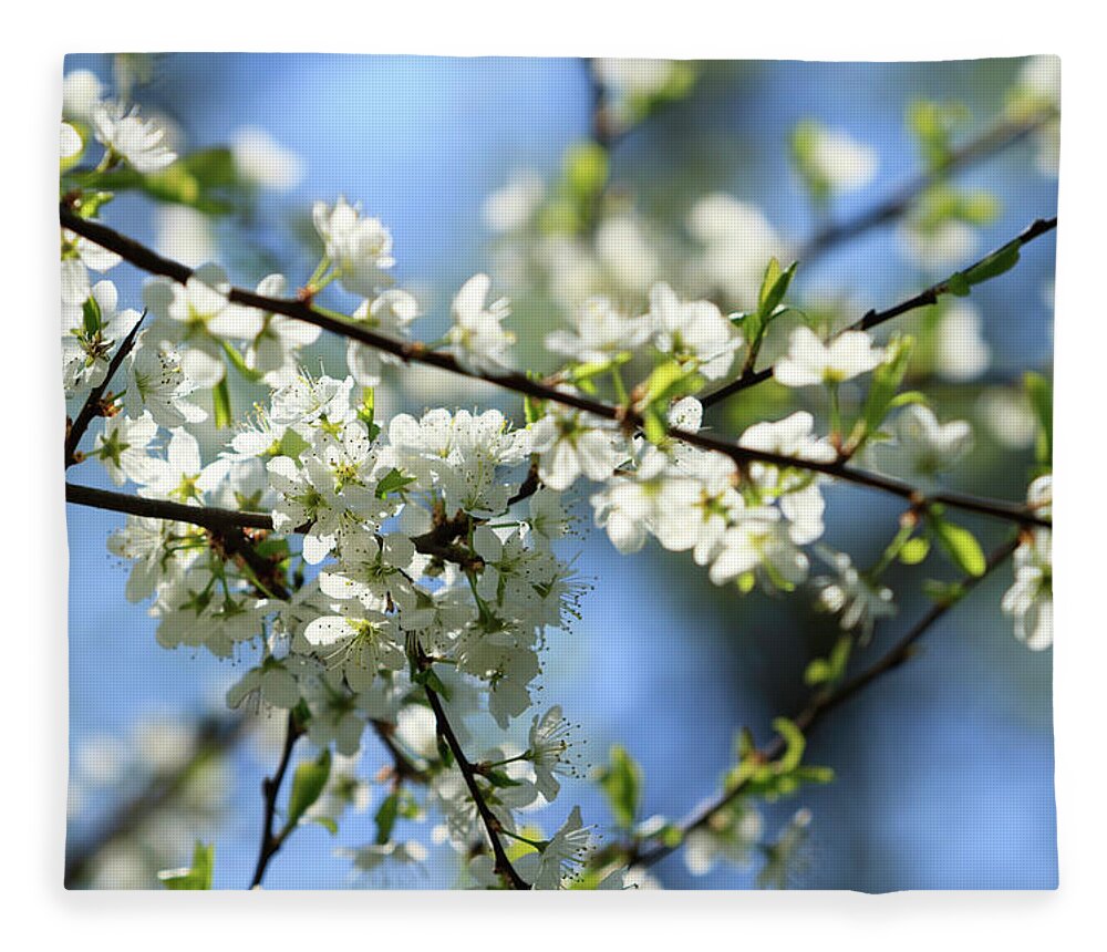 Season Fleece Blanket featuring the photograph Cherry Blossom #1 by Republica