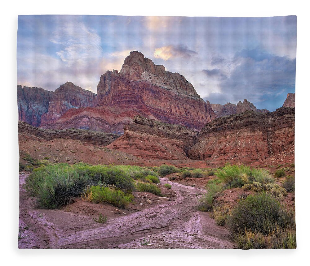 00574850 Fleece Blanket featuring the photograph Desert And Cliffs, Vermilion Cliffs by Tim Fitzharris