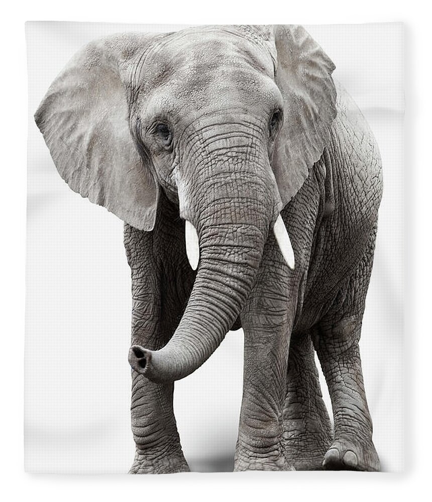 Toughness Fleece Blanket featuring the photograph Elephant by Burazin