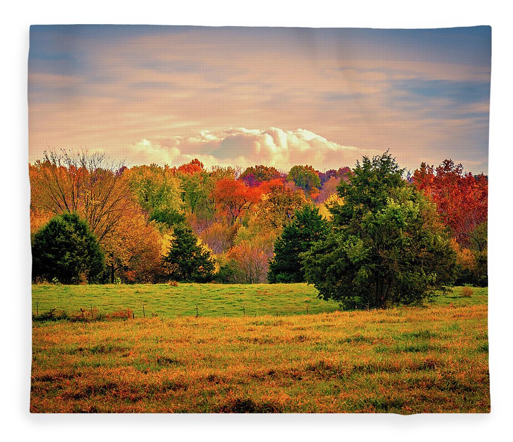 Fall Fleece Blanket featuring the photograph Fall in the Ozarks #2 by Allin Sorenson