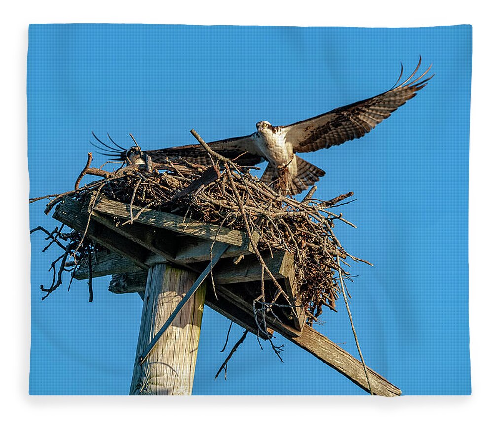 Osprey Fleece Blanket featuring the photograph Feathering The Nest #1 by Cathy Kovarik