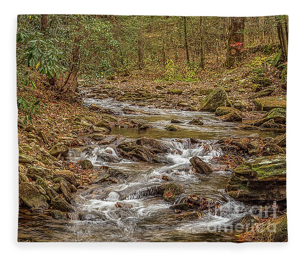Desoto-falls Fleece Blanket featuring the photograph Frogtown Creek #2 by Bernd Laeschke