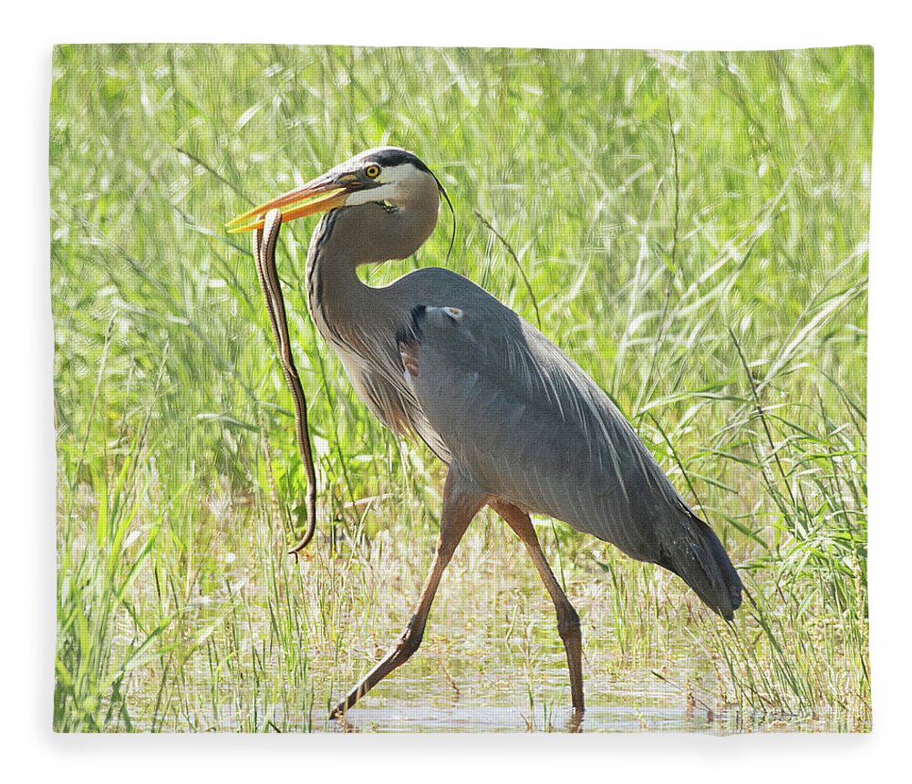 Bird Fleece Blanket featuring the photograph Great Blue Heron with a Snake #1 by Dennis Hammer