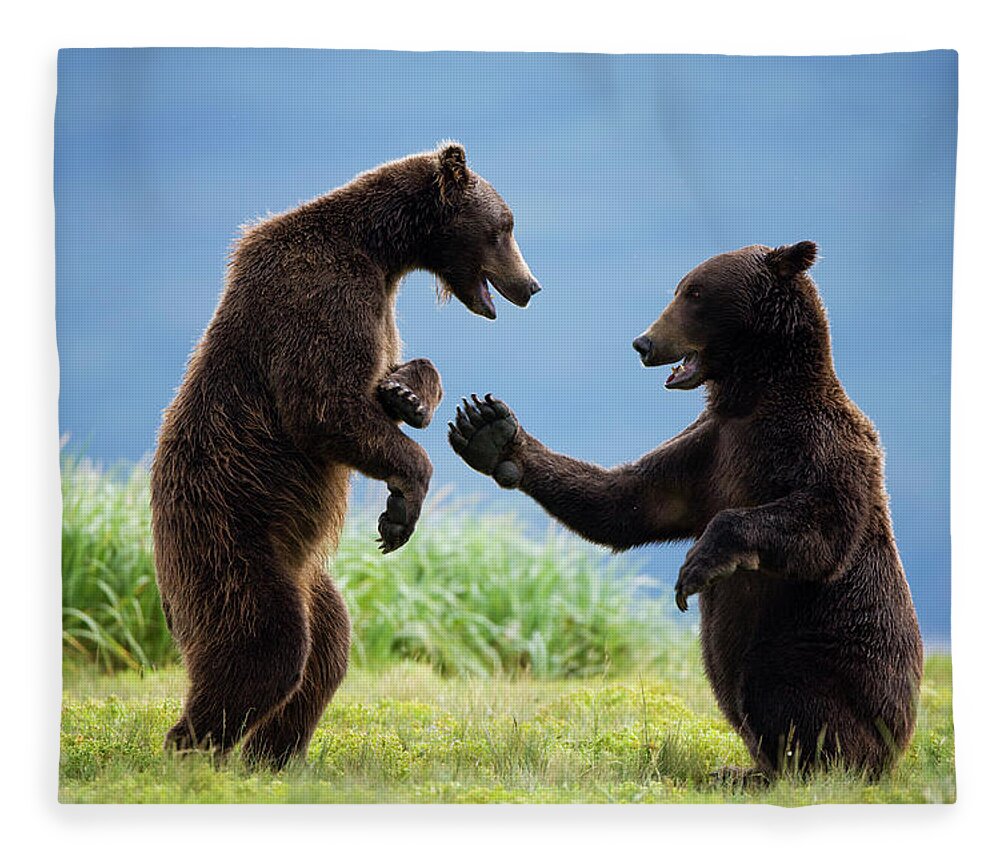 Brown Bear Fleece Blanket featuring the photograph Grizzly Bears, Katmai National Park #1 by Paul Souders