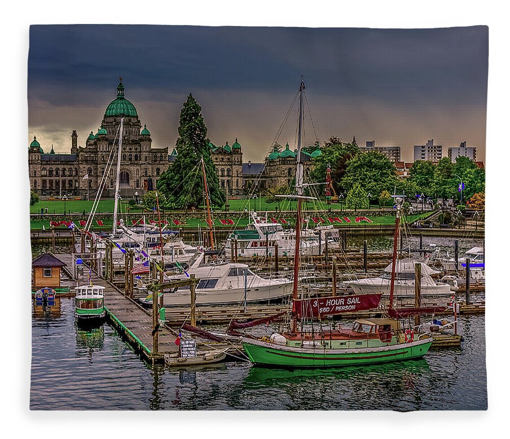 Harbor Fleece Blanket featuring the photograph Harbor and Parliament Building #1 by Darryl Brooks